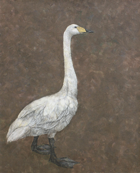 WakamatsuMeiが2010年に制作した紫の木白鳥を描いた日本画の作品。タイトルは『白鳥』